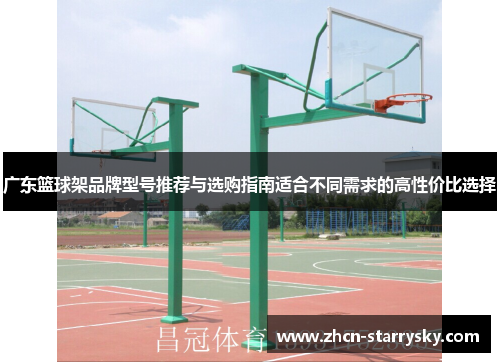 广东篮球架品牌型号推荐与选购指南适合不同需求的高性价比选择