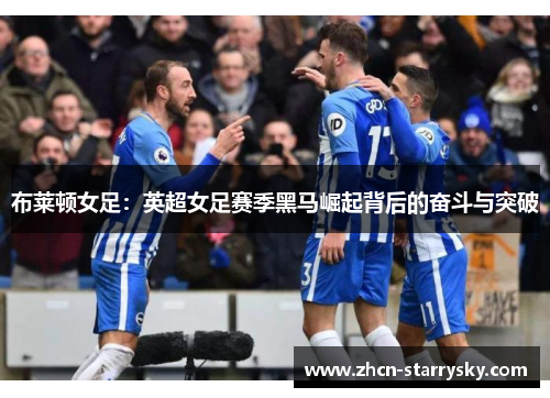 布莱顿女足：英超女足赛季黑马崛起背后的奋斗与突破