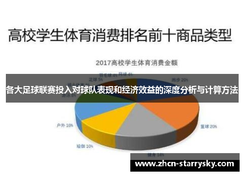 各大足球联赛投入对球队表现和经济效益的深度分析与计算方法