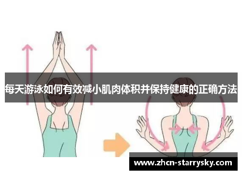 每天游泳如何有效减小肌肉体积并保持健康的正确方法 每天游泳如何有效减小肌肉体积并保持健康的正确方法