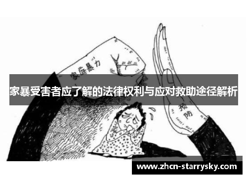 家暴受害者应了解的法律权利与应对救助途径解析
