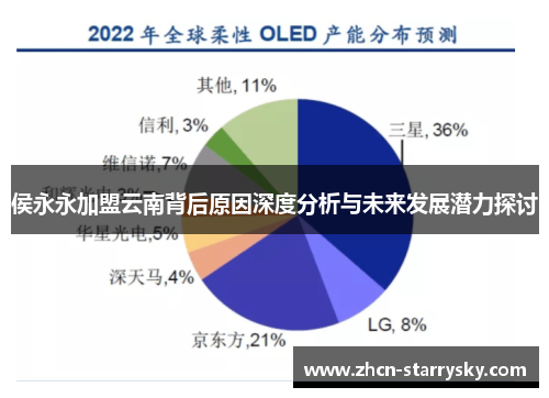 侯永永加盟云南背后原因深度分析与未来发展潜力探讨