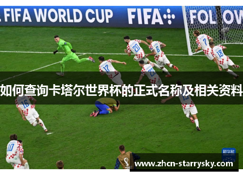 如何查询卡塔尔世界杯的正式名称及相关资料