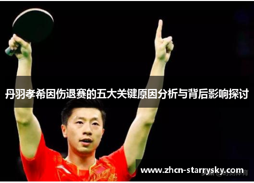 丹羽孝希因伤退赛的五大关键原因分析与背后影响探讨 丹羽孝希因伤退赛的五大关键原因分析与背后影响探讨